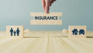 Insurance Law Feature Image